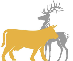 beef and elk meat snacks